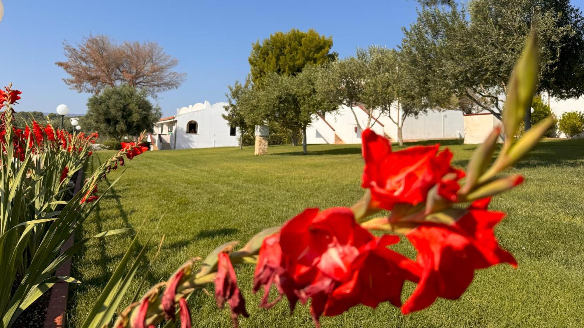 Villaggio Idra Residence Vieste Exterior foto